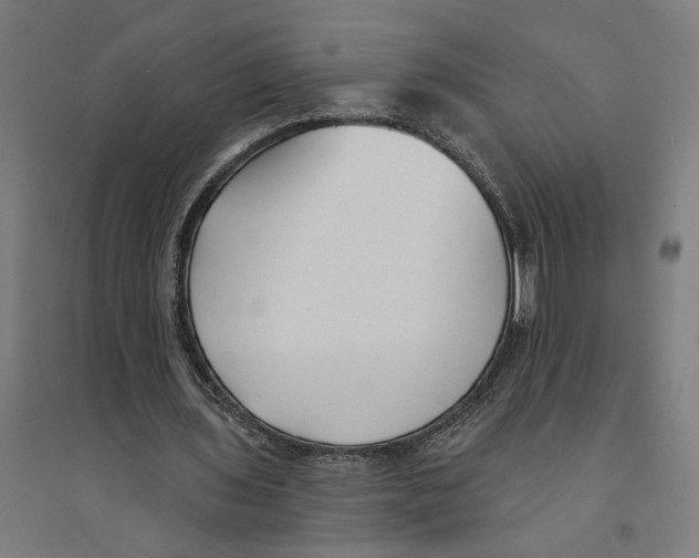 X0000094420435200712061055