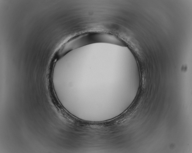 X0000094420436200712061055