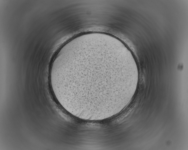 X0000094420437200712061055