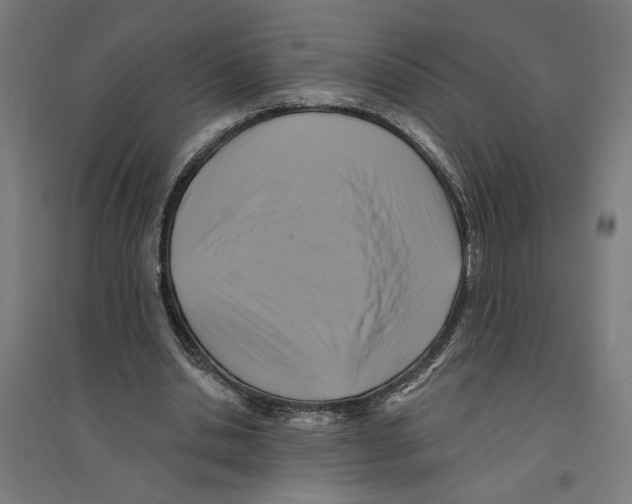 X0000094420438200712061055