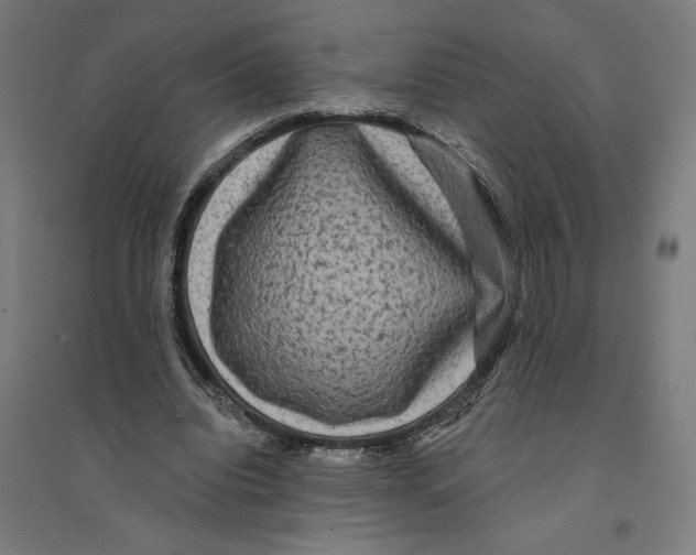 X0000094420440200712061055