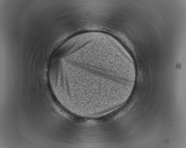 X0000094420441200712061055