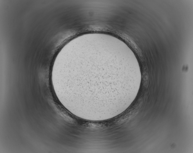 X0000094420442200712061055