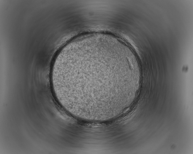 X0000094420443200712061055