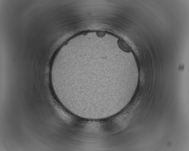 X0000094420445200712061055