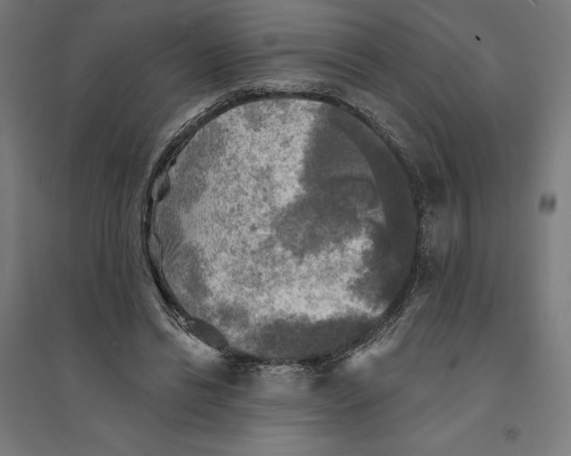 X0000094420446200712061055