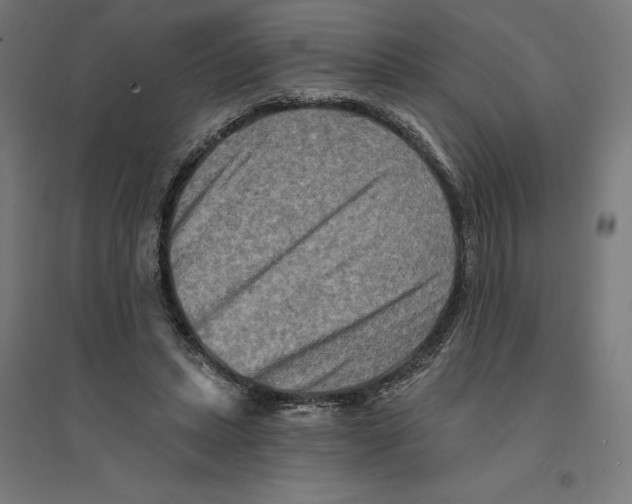 X0000094420447200712061055