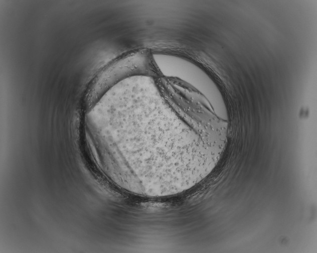 X0000094420448200712061055