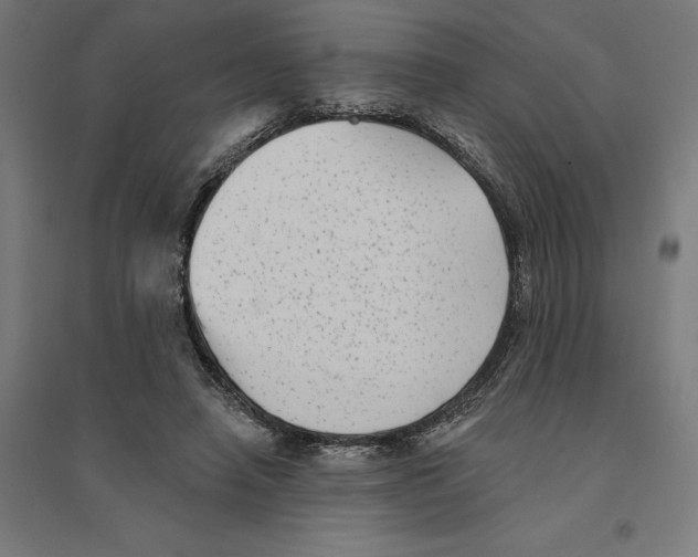 X0000094420450200712061055