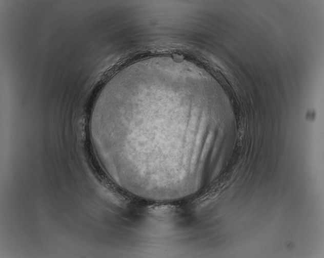 X0000094420452200712061055