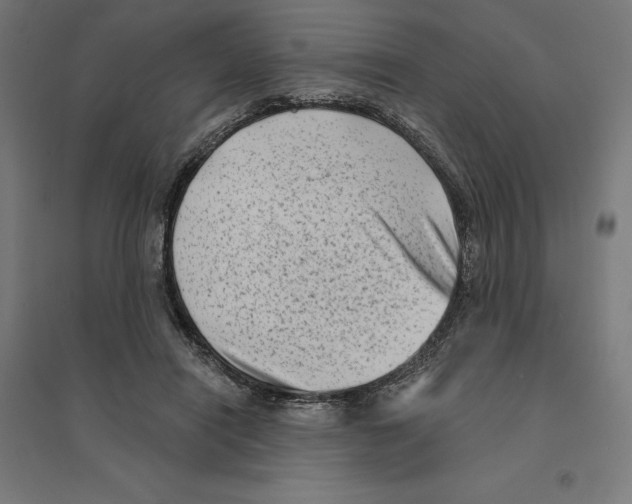 X0000094420454200712061055