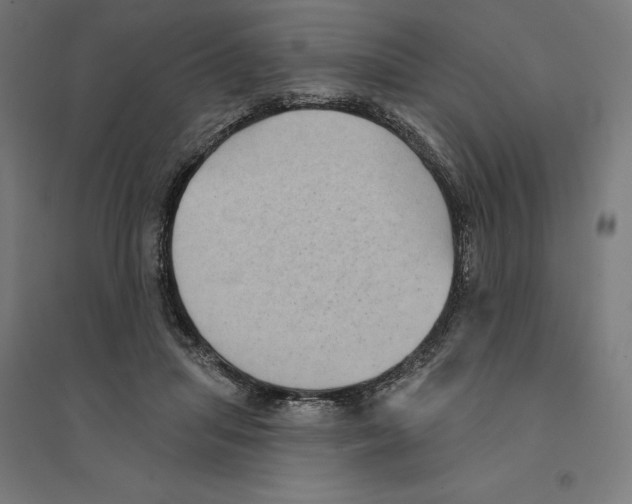 X0000094420455200712061055