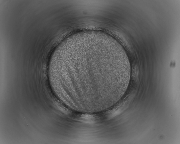 X0000094420457200712061055