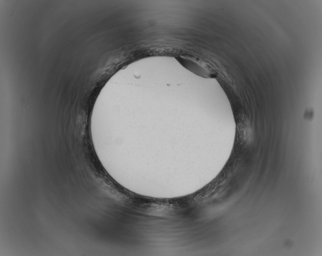 X0000094420458200712061055