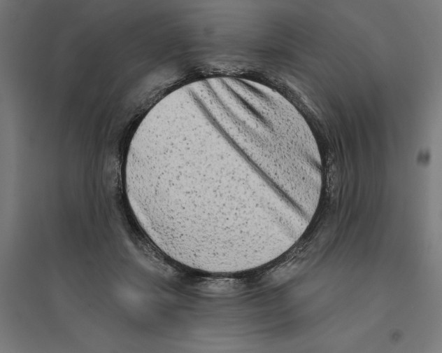 X0000094420459200712061055