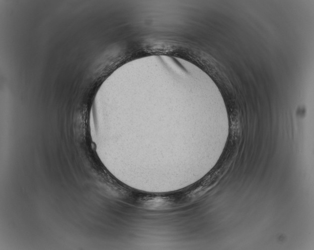 X0000094420460200712061055