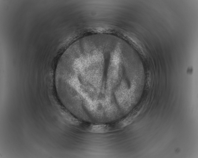 X0000094420461200712061055