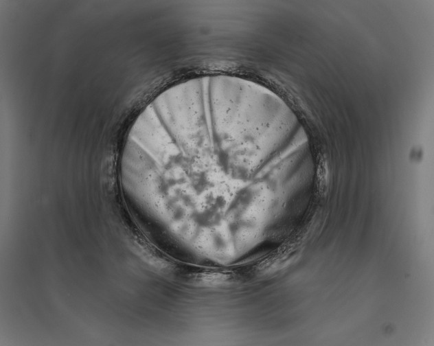 X0000094420462200712061055