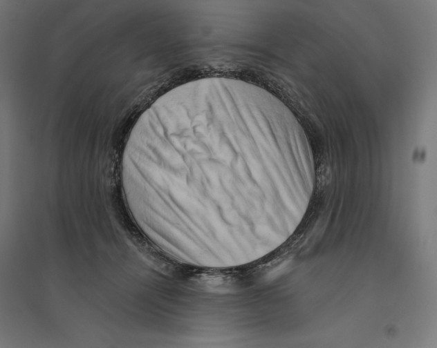 X0000094420464200712061055