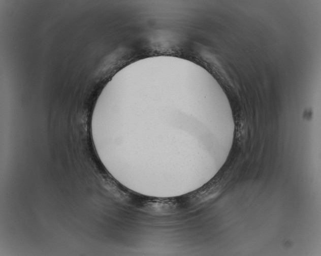 X0000094420466200712061055