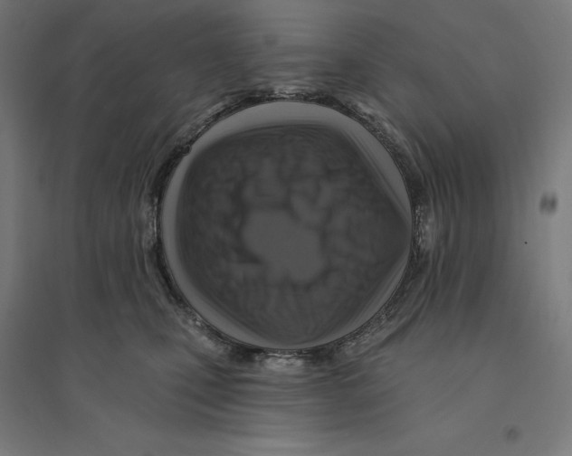 X0000094420471200712061055