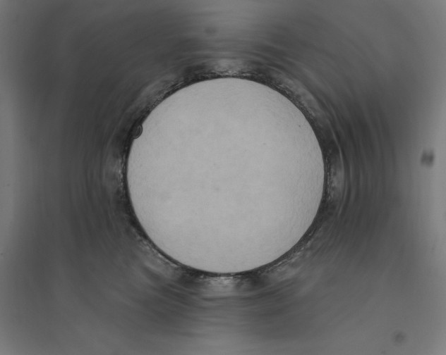 X0000094420473200712061055