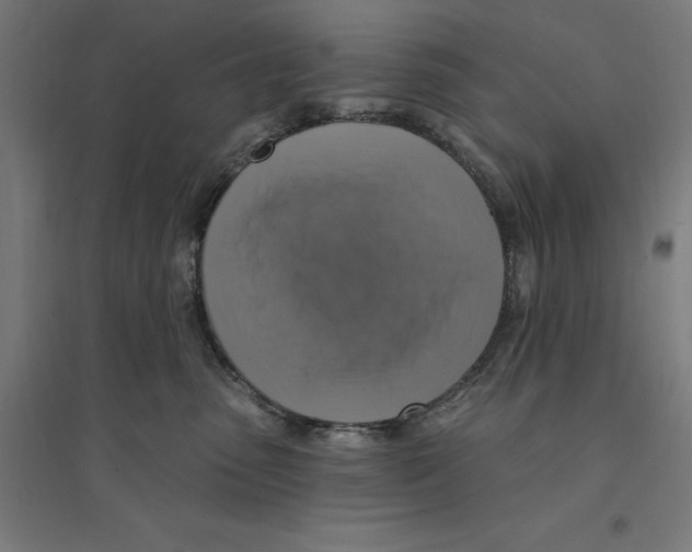 X0000094420475200712061055