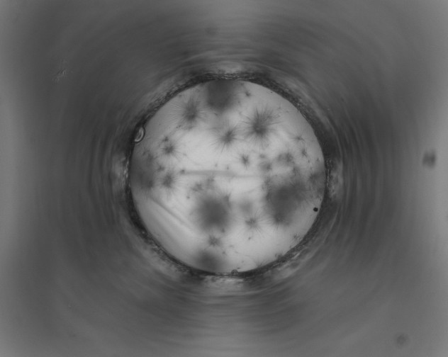 X0000094420476200712061055
