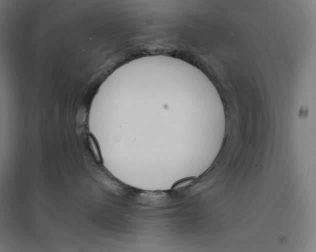 X0000094420480200712061055