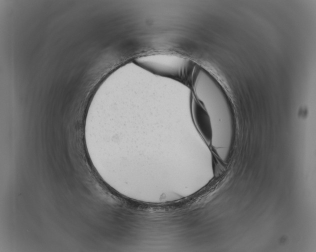 X0000094420481200712061055