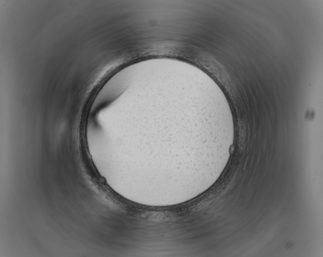 X0000094420482200712061055