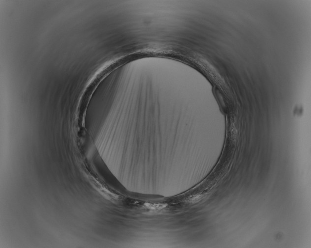 X0000094420484200712061055