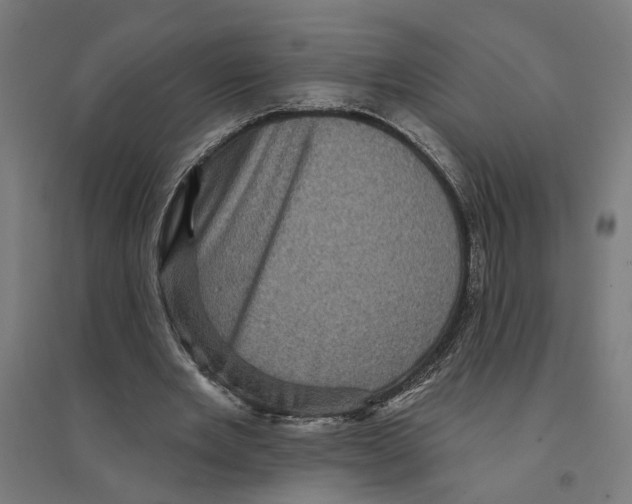 X0000094420485200712061055