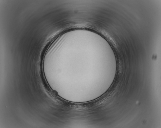 X0000094420486200712061055