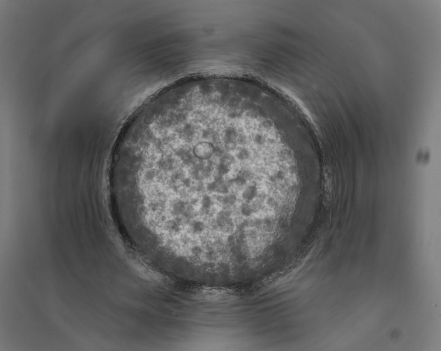 X0000094420487200712061054