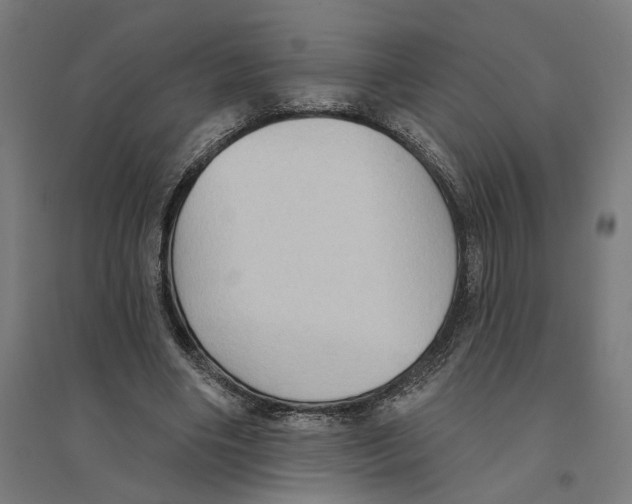 X0000094420490200712061054