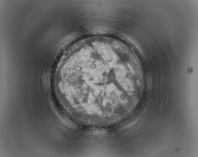 X0000094420491200712061054