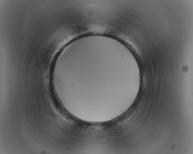 X0000094420492200712061054