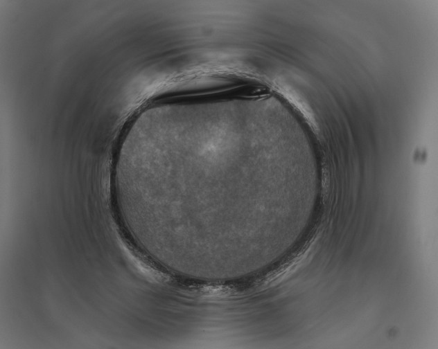 X0000094420493200712061054