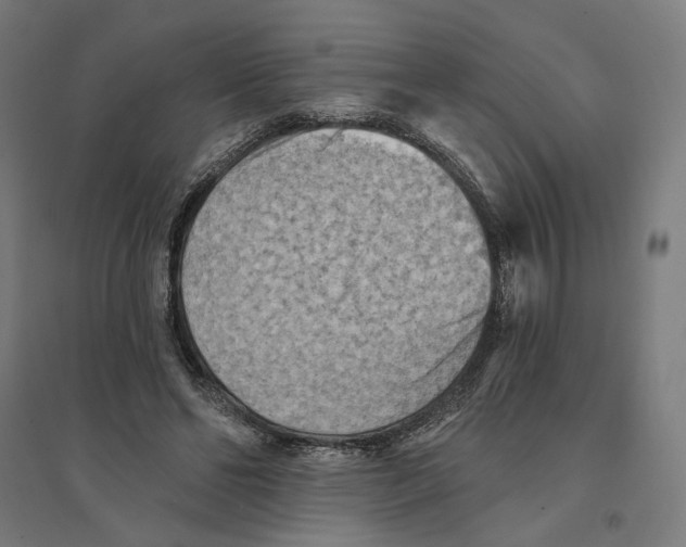 X0000094420494200712061054