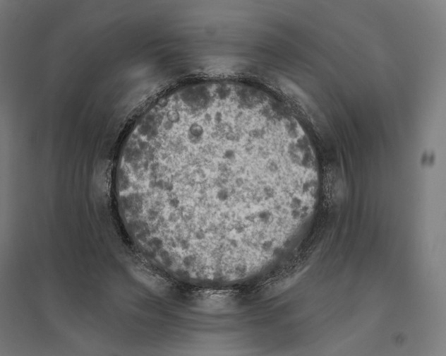 X0000094420495200712061054