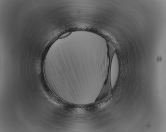 X0000094420496200712061054