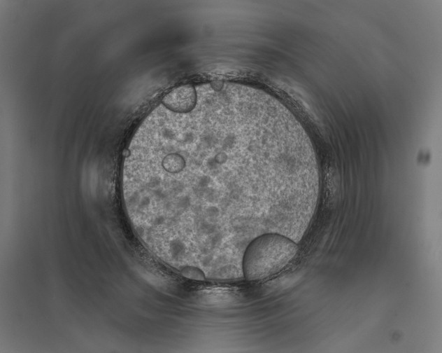 X0000094420499200712061054