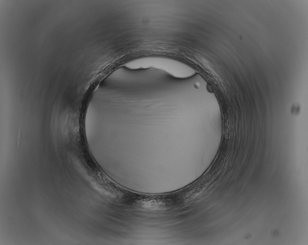 X0000094420500200712061054