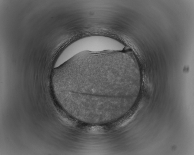 X0000094420501200712061054