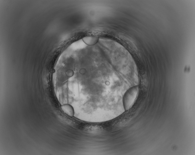 X0000094420503200712061054