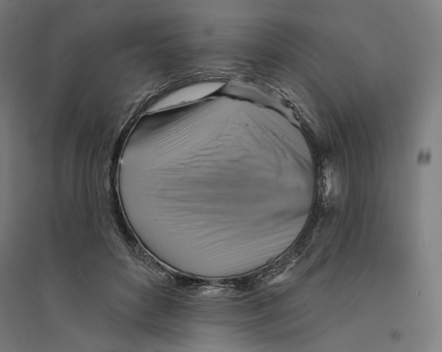 X0000094420504200712061054