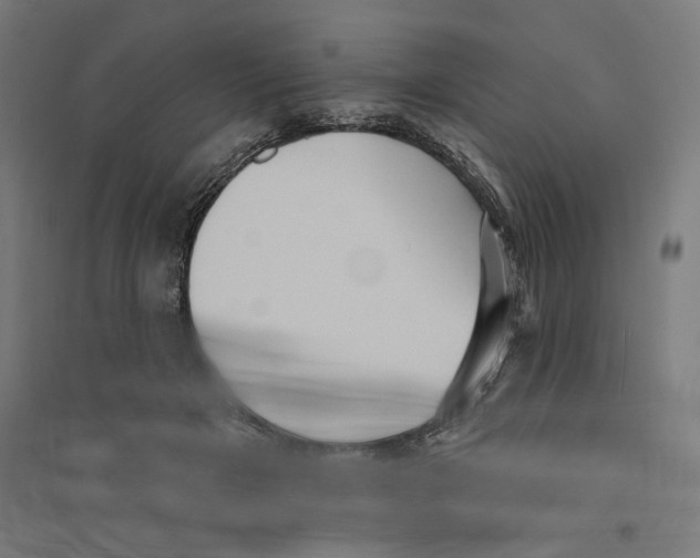 X0000094420505200712061054