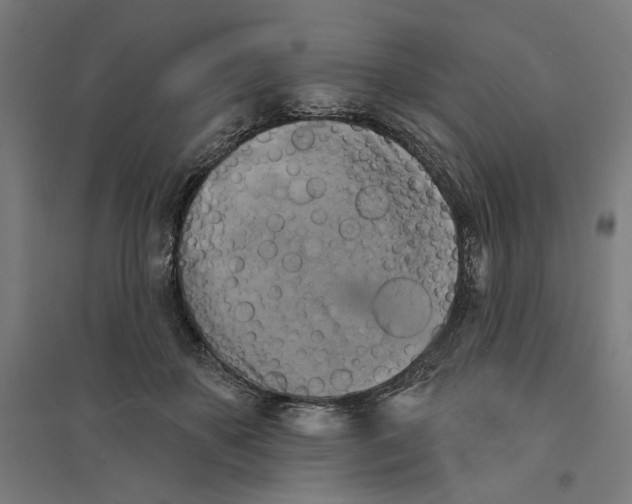 X0000094420507200712061054