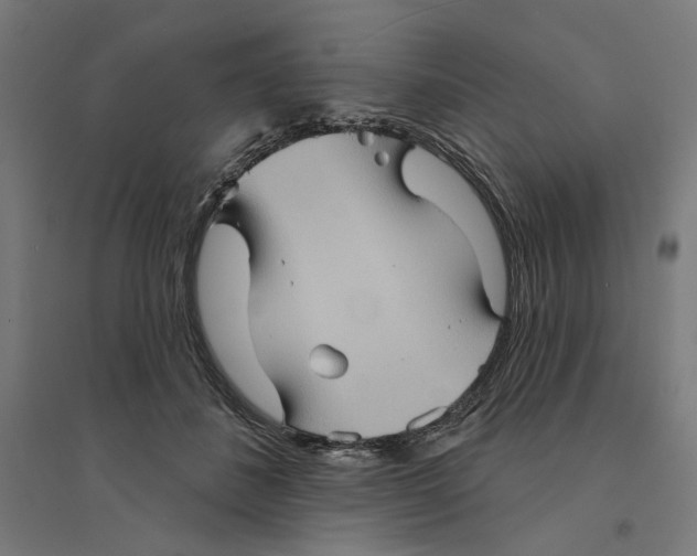 X0000094420508200712061054